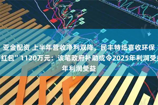 亚金配资 上半年营收净利双降,民丰特纸喜收环保“红包”1120万元:该笔政府补助或令2025年利润受益
